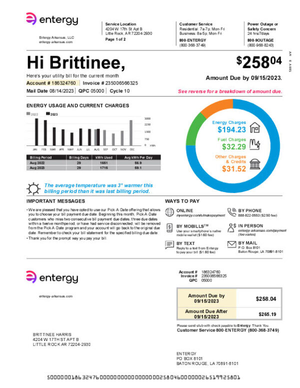 USA Entergy Editable Utility Bill Template in Word and PDF formats 4 page