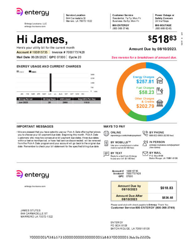 USA Entergy Louisiana Editable Electricity Bill Template in Word and PDF formats 2 page
