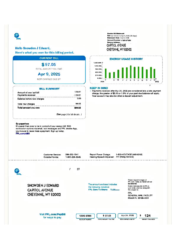 USA FPL Editable Electricity Bill Template in Word and PDF formats 2 page