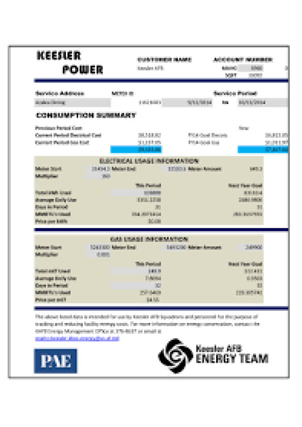 USA Keesler Power Editable Utility Bill Template in Word and PDF formats