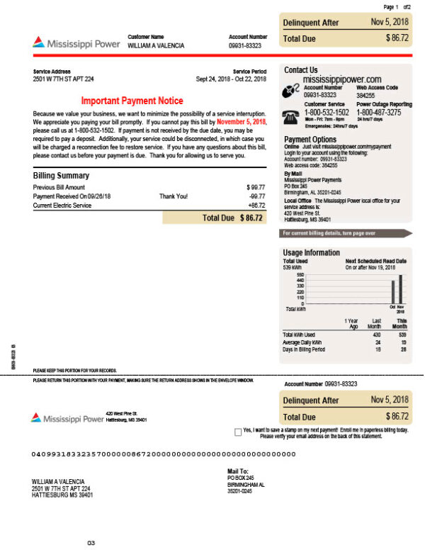 USA Mississippi Power Editable Bill Template in Word and PDF formats 2 page