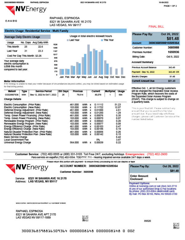 USA NV Energy Editable Electric Bill Template in Word and PDF formats 2 page