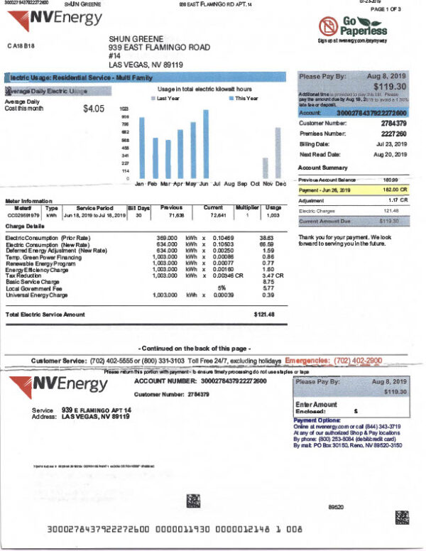 USA NV Energy Editable Electricity Bill Template in Word and PDF formats 4 page