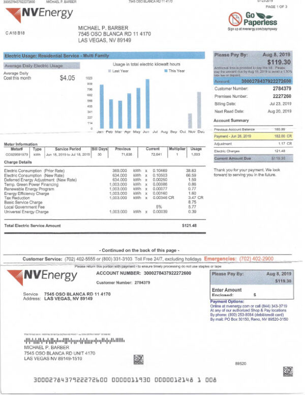 USA NV Energy Editable Utility Bill Template in Word and PDF formats 4 page