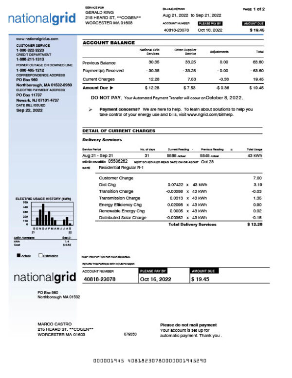 USA National Grid Editable Utility Bill Template in Word and PDF formats 2 page