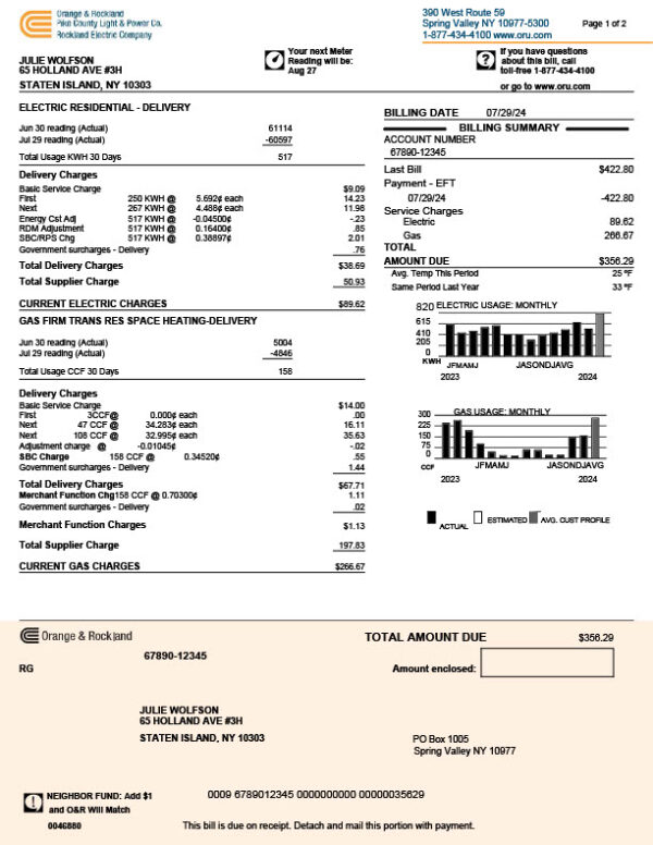 USA Orange Rockland Editable Utility Bill Template in Word and PDF formats 2 page