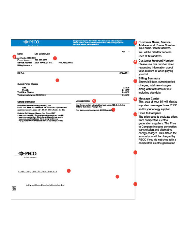 USA PECO Editable Utility Bill Template in Word and PDF formats 2 page