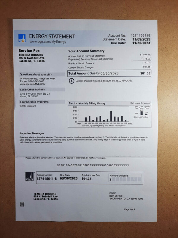 USA PG E Editable Energy Statement Template in Word and PDF formats