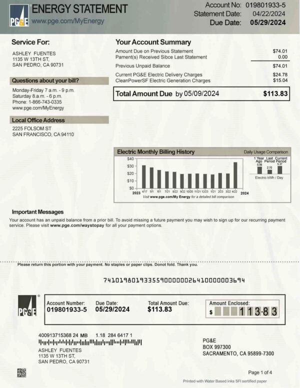 USA PG E Editable Utility Bill Template in Word and PDF formats