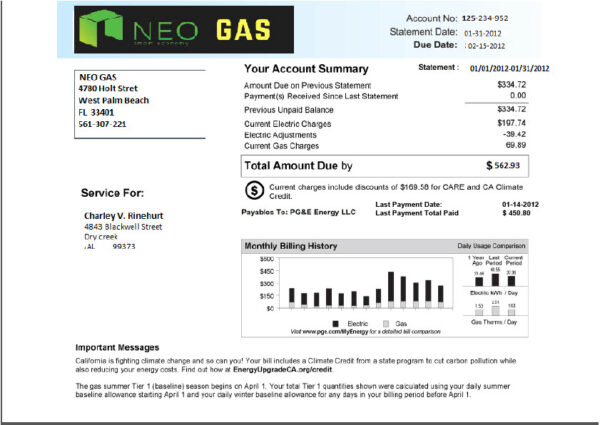 USA PG E Energy LLC Editable Utility Bill Template in Word and PDF formats
