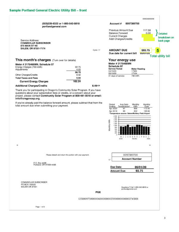 USA PGE Editable Utility Bill Template in Word and PDF formats 2 page