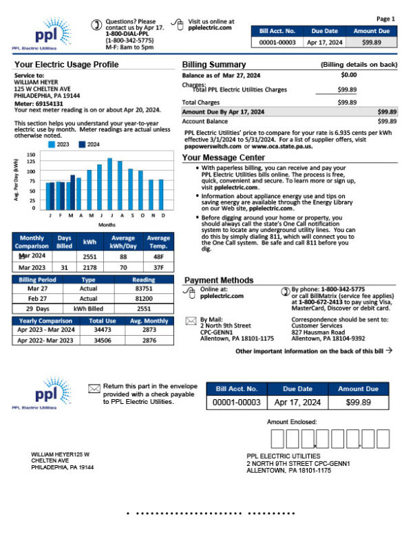 USA PPL Editable Electric Bill Template in Word and PDF formats 2 page
