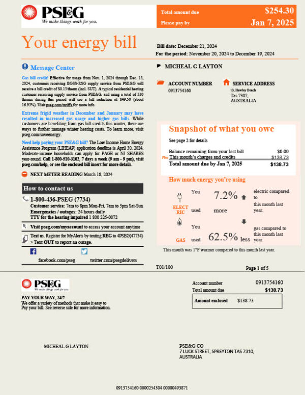 USA PSEG Editable Utility Bill Template in Word and PDF formats 7 page