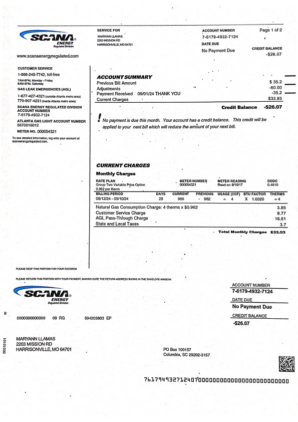 USA SCANA Energy Editable Utility Bill Template in Word and PDF formats
