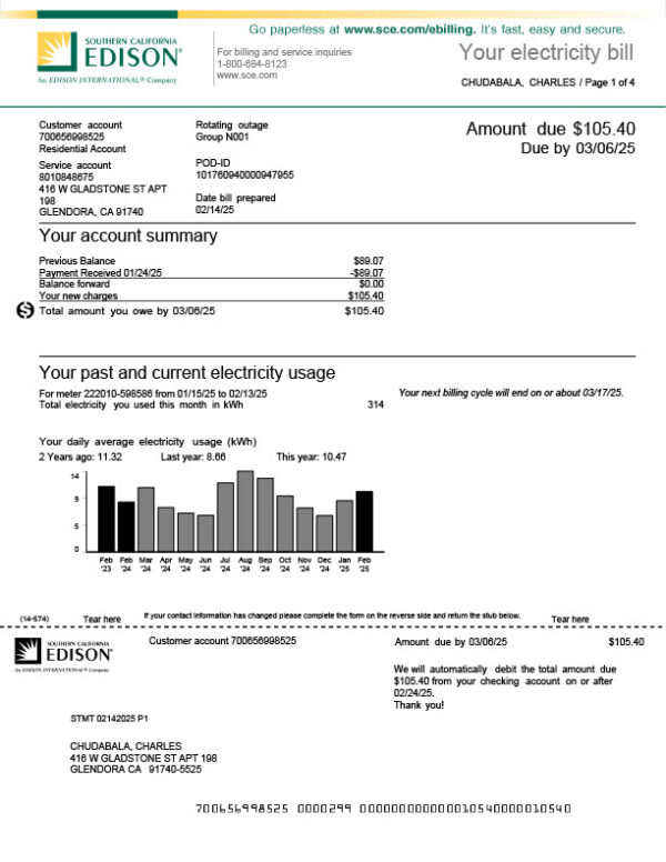USA SCE Editable Utility Bill Template in Word and PDF formats 4 page