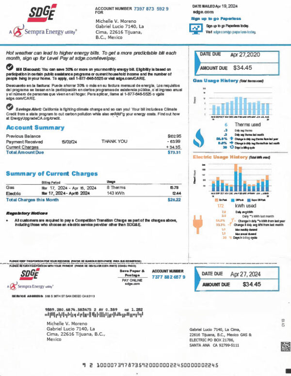 USA SDG E Editable Energy Bill Template in Word and PDF formats