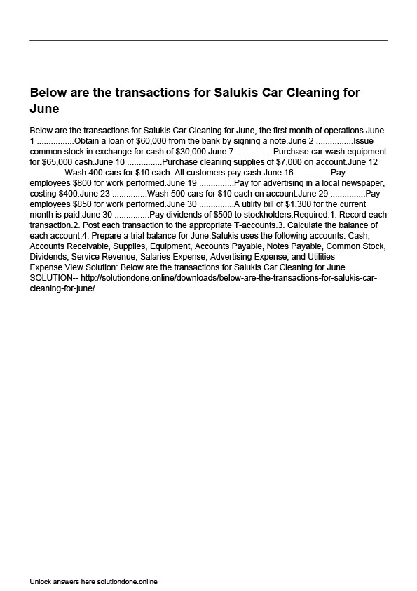 USA Salukis Car Cleaning Editable Transaction Report Template in Word and PDF formats