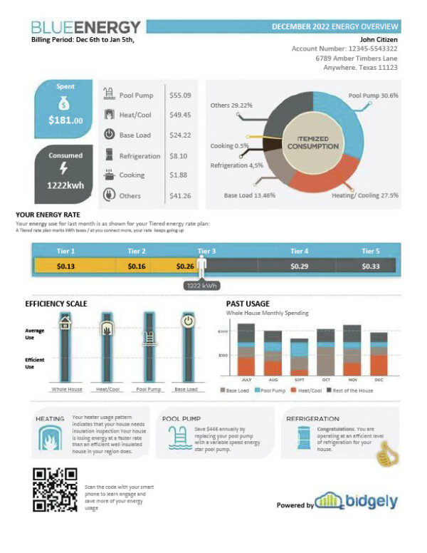 USA Texas Blue Energy Editable Utility Bill Template in Word and PDF formats 2 page