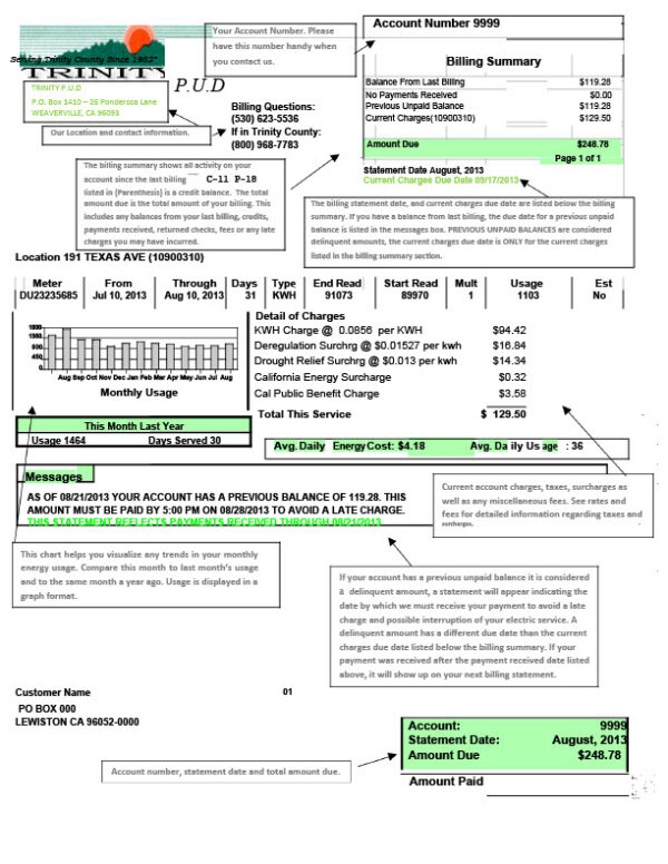 USA Trinity PUD Editable Utility Bill Template in Word and PDF formats 2 page