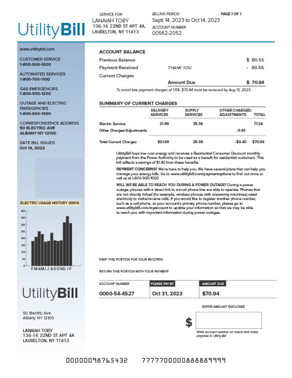 USA UtilityBill Editable Utility Bill Template in Word and PDF formats