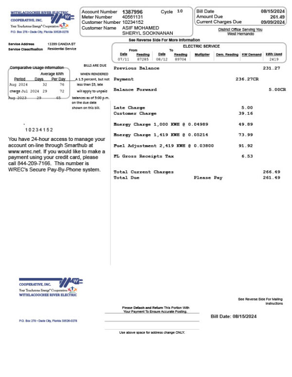 USA Withlacoochee River Electric Cooperative Editable Electric Bill Template in Word and PDF formats 2 page
