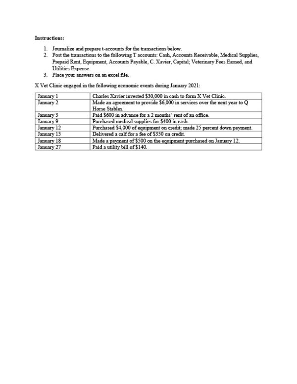 USA X Vet Clinic Editable Activity Template in Word and PDF formats