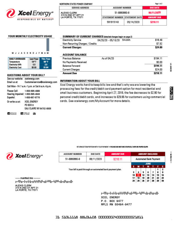 USA Xcel Energy Editable Electricity Bill Template in Word and PDF formats 2 page
