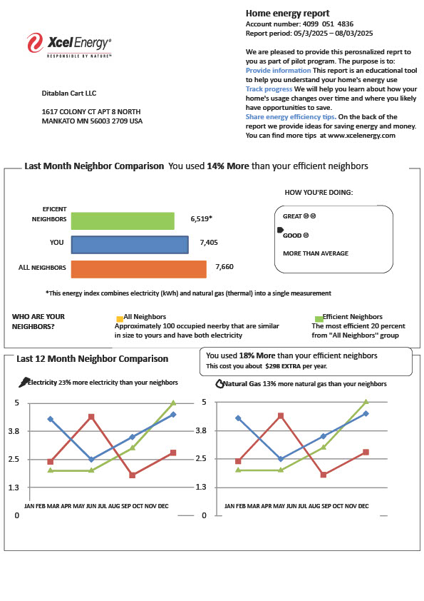 USA Xcel Energy Editable Utility Bill Template in Word and PDF formats
