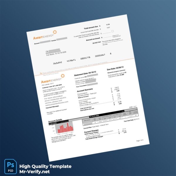 USA Ambit Energy Editable Electricity Bill Template in Word and PDF formats 3 page