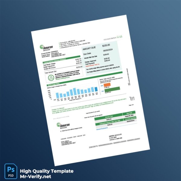 USA Ameren Editable Utility Bill Template in Word and PDF formats 4 page