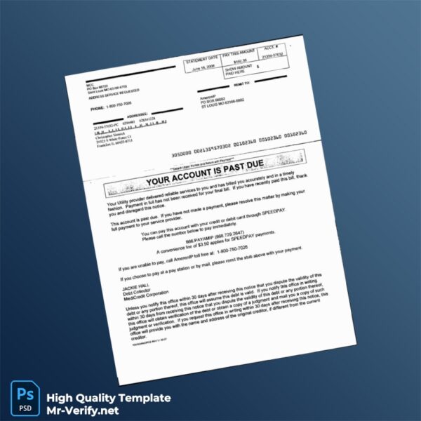 USA AmerenIP Editable Utility Bill Template in Word and PDF formats