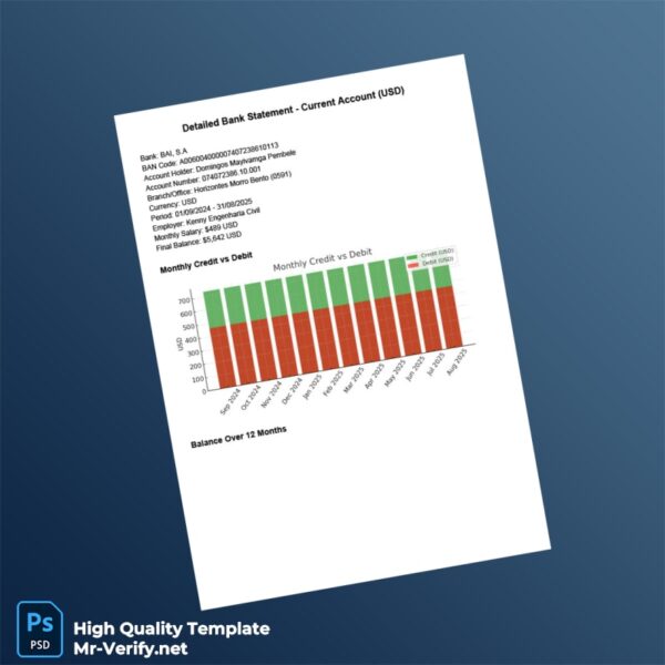 USA BAI S A Bank Statement Template in Word and PDF formats 3 page