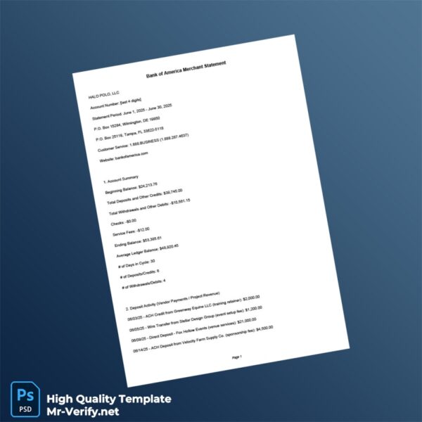 USA Bank of America Merchant Statement Template in Word and PDF formats 2 page