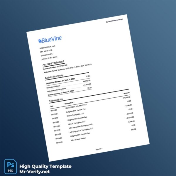 USA Bluevine Bank Statement Template in Word and PDF formats 2 page
