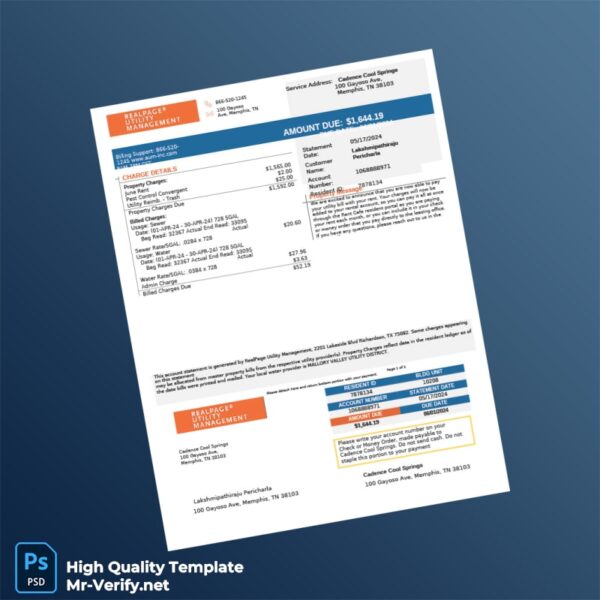 USA Cadence Cool Springs Editable Billing Statement Template in Word and PDF formats 3 page