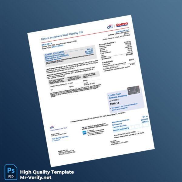USA Citi Bank Statement Template in Word and PDF formats 4 page