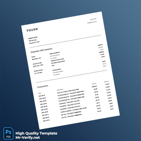 USA Citizens Bank NA Bank Statement Template in Word and PDF formats 2 page