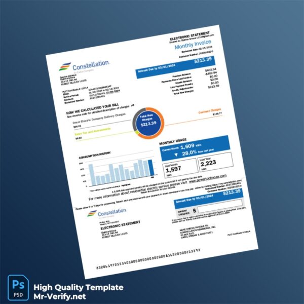 USA Constellation Editable Electricity Bill Template in Word and PDF formats 6 page
