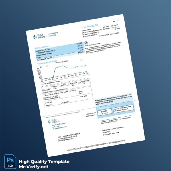 USA Duke Energy Editable Electric Bill Template in Word and PDF formats 3 page
