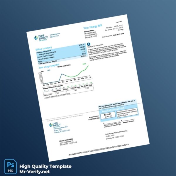 USA Duke Energy Editable Electricity Bill Template in Word and PDF formats 3 page