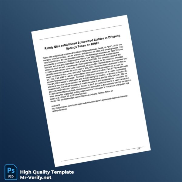 USA Editable Business Document Template in Word and PDF formats