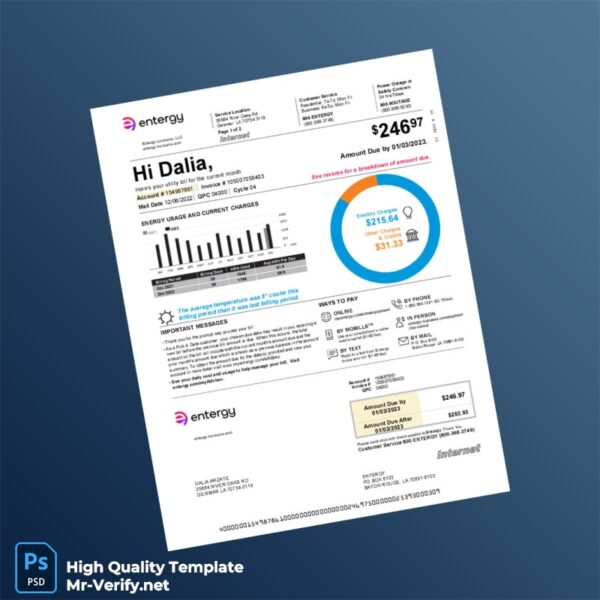 USA Entergy Editable Electricity Bill Template in Word and PDF formats 4 page