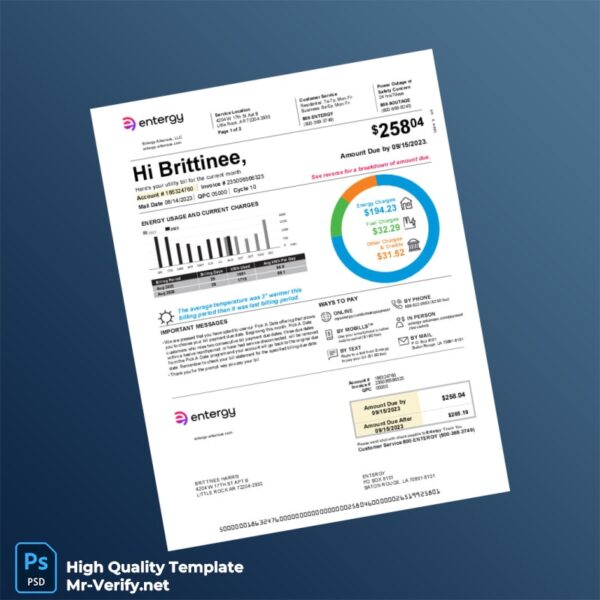 USA Entergy Editable Utility Bill Template in Word and PDF formats 4 page