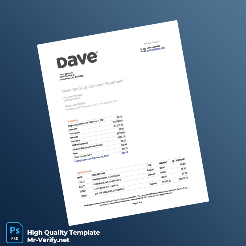 USA Evolve Bank Trust Bank Statement Template in Word and PDF formats USA Evolve Bank Trust Bank Statement Template in Word and PDF formats