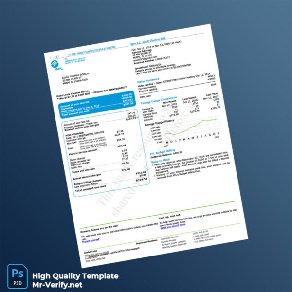 USA FPL Editable Electricity Bill Template in Word and PDF formats