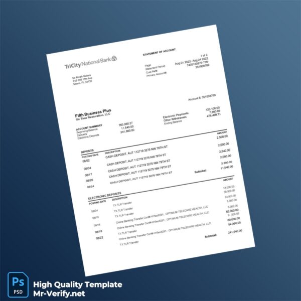 USA Fifth Business Plus Account Statement Template in Word and PDF formats