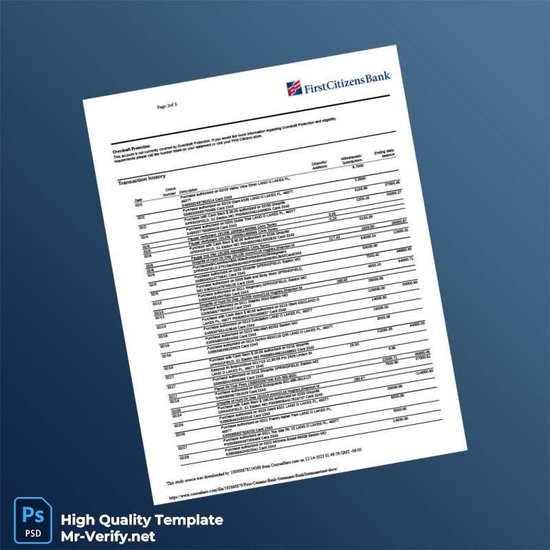 USA First Citizens Bank Statement Template in Word and PDF formats 3 page USA First Citizens Bank Statement Template in Word and PDF formats 3 page