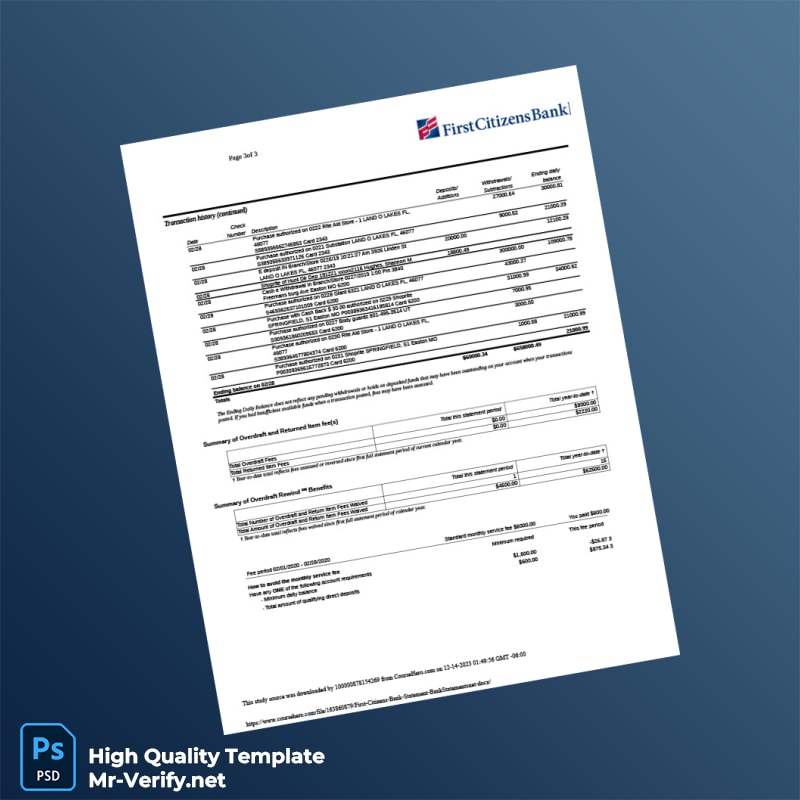 USA First Citizens Bank Statement Template in Word and PDF formats 3 page USA First Citizens Bank Statement Template in Word and PDF formats 3 page
