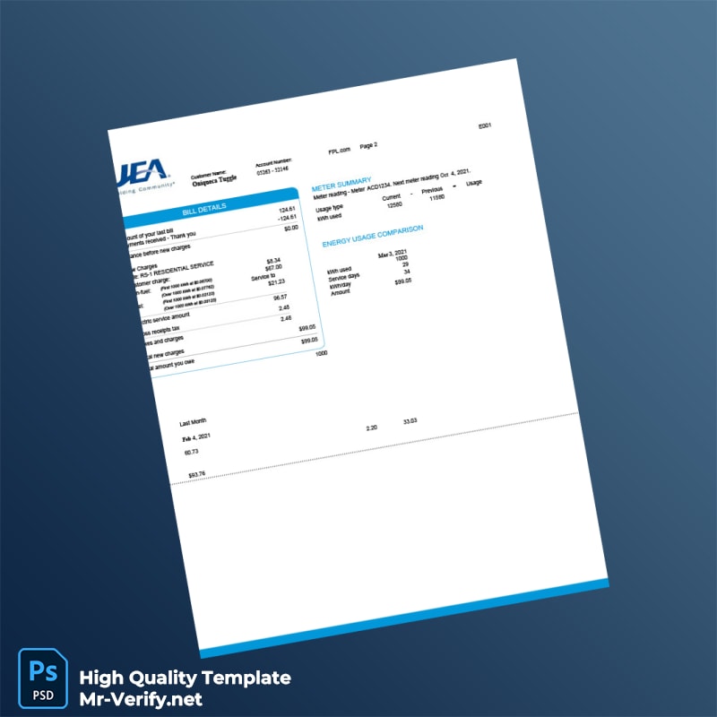USA JEA Editable Electricity Bill Template in Word and PDF formats 3 page USA JEA Editable Electricity Bill Template in Word and PDF formats 3 page