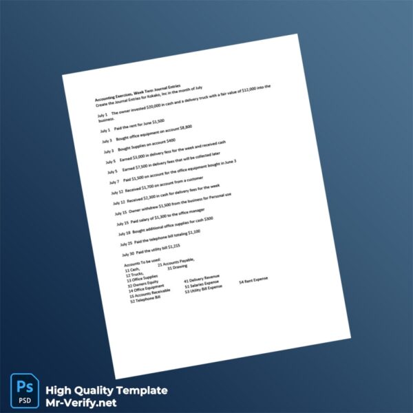 USA Kokako Inc Editable Journal Entries Template in Word and PDF formats 2 page